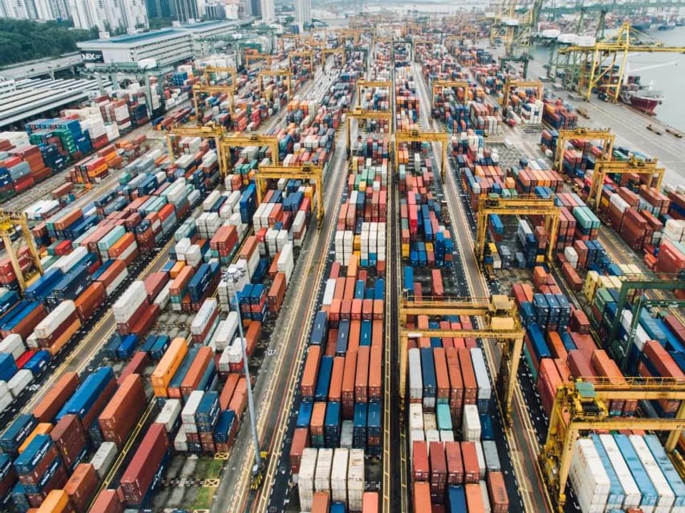 Shipping and Logistics team and business environment
