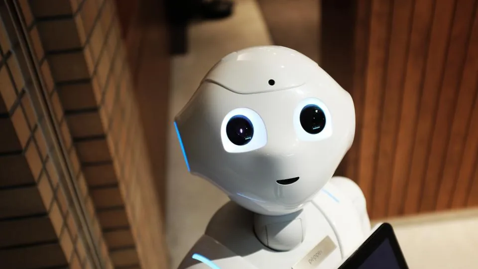 AI Chatbot Development service collaboration