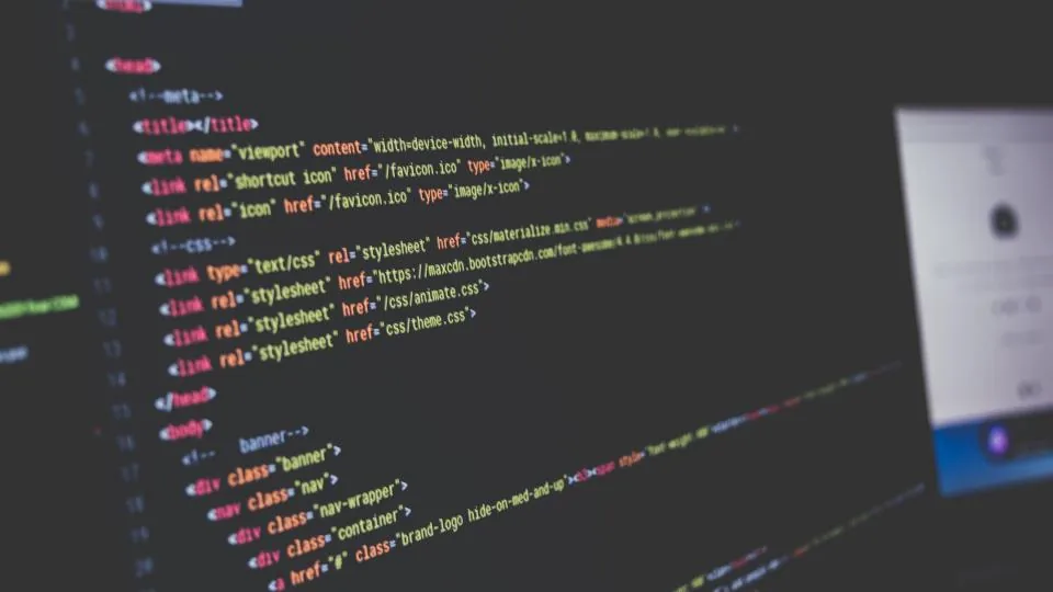 SaaS Application Development service collaboration